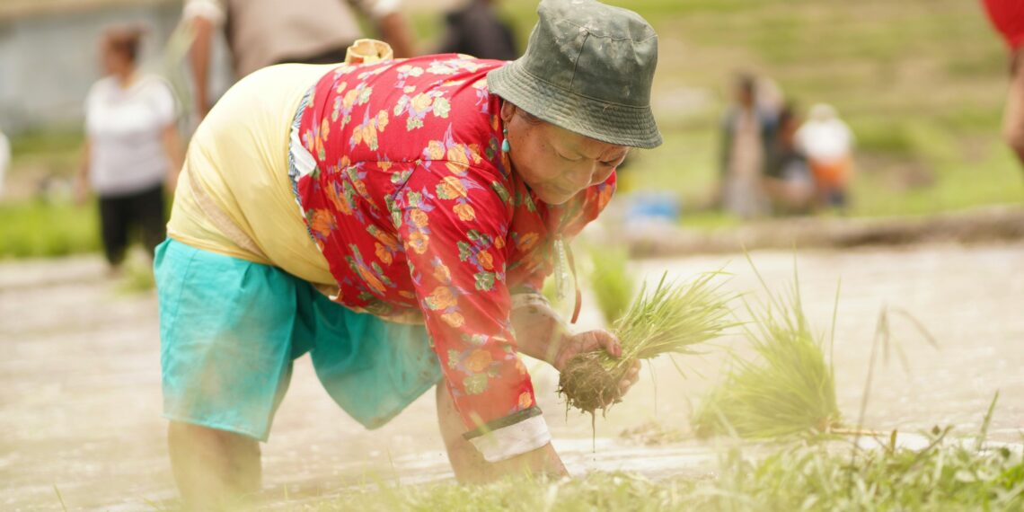 Community rice plantation event in Nepal