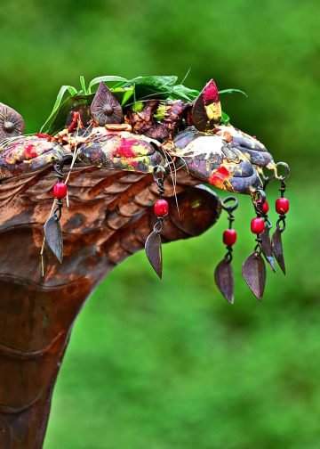 The Serpent’s Story: Between Myth, Fear, and Nature  